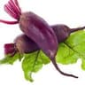 Beetroot: Cylindra Red Beets